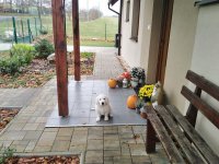 Gessie 17