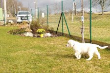 Gessie 19