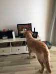 IMG 7491