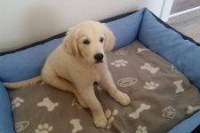 Cipi 04