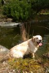 IMG-20180413-WA0006