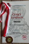 Drago 66