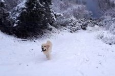 Enrico 06