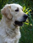 3.roky 01