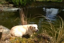 IMG-20180413-WA0005