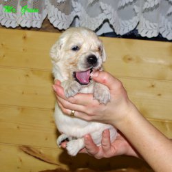 IMGP4731