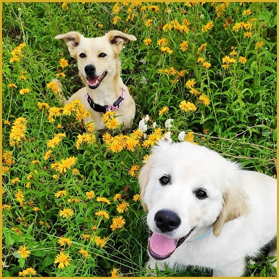 mala 06